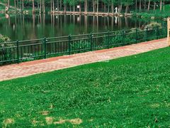 -深圳龙潭公园