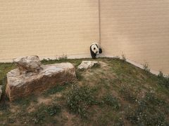 -石家庄市动物园