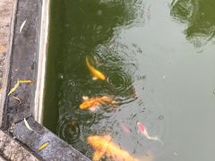 -汤阴县羑里周易博物馆