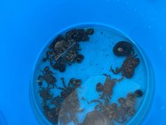 -东戴河风景区-止锚湾