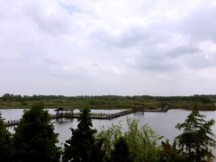 -溱湖国家湿地公园