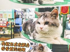 -瑞派动物医院·猫专科·至诚(江南中分院)