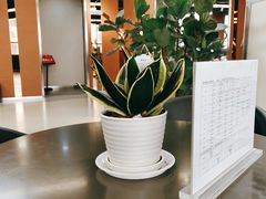 -Fitmula斐嘉健身(省体店)