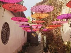 -鱼食饭稻·苏浙土菜17年老馆子(平江路店)