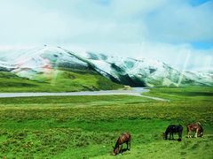 -大冬树山垭口