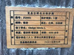 -浮来山风景区