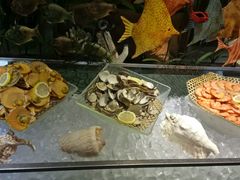 元贝-珀丽酒店-协奏坊餐厅