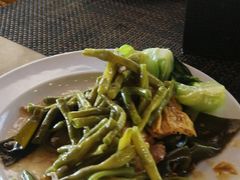 -三亚珠江南田温泉度假区