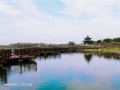 -上海海湾国家森林公园