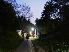 -西南政法大学(沙坪坝校区)