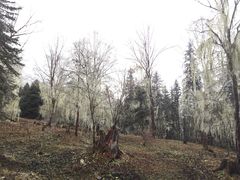 -硗碛藏寨·神木垒景区