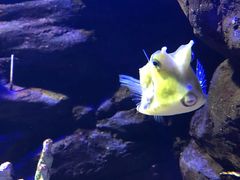 -南昌海洋公园