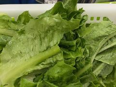 -正能量脆肉鲩火锅