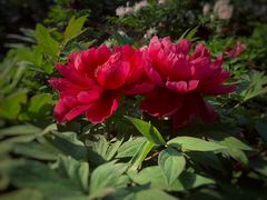 -幕燕滨江·长江观音景区