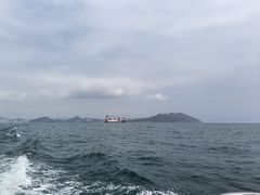 -小猫钓鱼海钓俱乐部(椰梦长廊店)