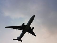 -空港花田景区