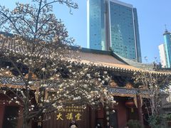 -真庆观