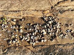 -上海市保健医疗中心