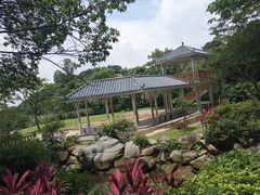 -火炉山森林公园