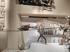 -国家自然博物馆