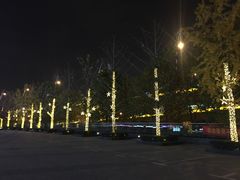 -紫荆广场·花漫里