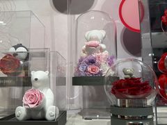 -ROSEONLY诺誓(国际广场购物中心店)