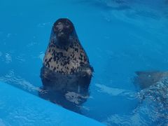 -泉城欧乐堡海洋极地世界