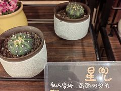 -优衣库(深圳万象天地旗舰店)