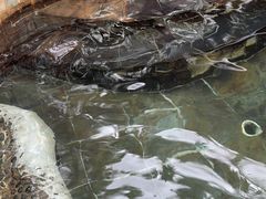 -三亚海棠湾南田温泉神龙谷