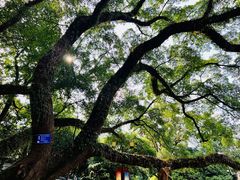 -桂林独秀峰王城景区