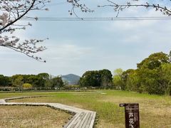 -长田漾湿地公园