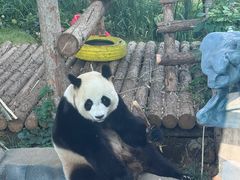 -大连森林动物园