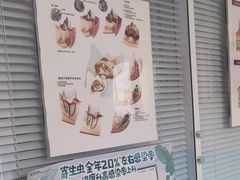 -瑞派福兴宠物医院犬猫全科·骨科·中西医结合(河东店)