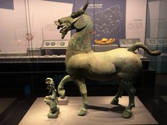 -广西壮族自治区博物馆