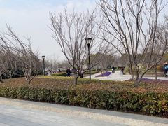 -上海山野camping·户外天幕烧烤·团建拓展营地