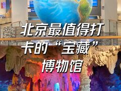 -中国地质博物馆