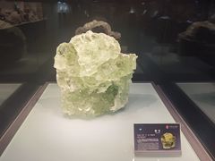 -中华赏石园