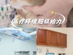 -美联众合动物医院·24h转诊中心