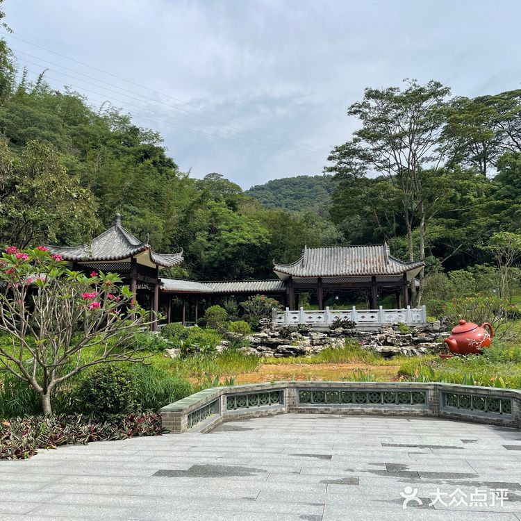 广州白云山桑拿之旅