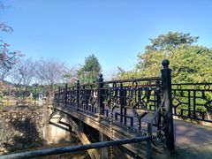 -红山村