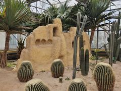 -南宫五洲植物乐园