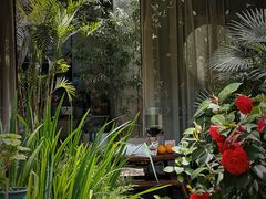 -谷咖啡·鲜花绿植花园餐厅