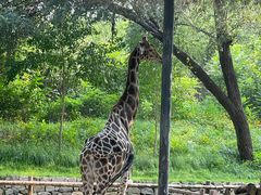 -北京野生动物园