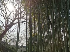 -秋霞圃