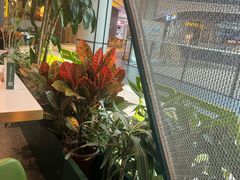 -烹然四季椰子鸡火锅(姚家园万象汇店)