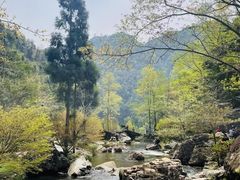 -刘伯温故里景区百丈漈