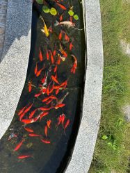 -东方爱堡国际月子会所·产后康复(兴化店)