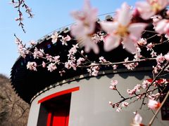 -居庸关长城