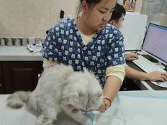 -思琪宠物医院(昆山花桥店)