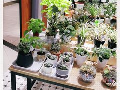 -The Green Party(嘉里中心店)